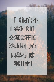《铜官不止窑》创作交流会在长沙政协同心园举行 陈刚出席