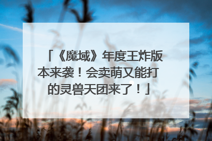 《魔域》年度王炸版本来袭！会卖萌又能打的灵兽天团来了！