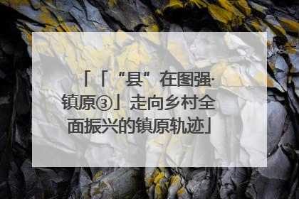 「“县”在图强·镇原③」走向乡村全面振兴的镇原轨迹