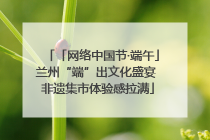 「网络中国节·端午」兰州“端”出文化盛宴 非遗集市体验感拉满
