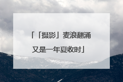 「摄影」麦浪翻涌 又是一年夏收时