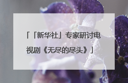 「新华社」专家研讨电视剧《无尽的尽头》