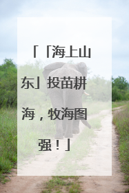 「海上山东」投苗耕海，牧海图强！