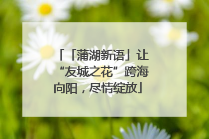 「蒲湖新语」让“友城之花”跨海向阳，尽情绽放