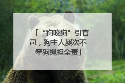 “狗咬狗”引官司，狗主人屡次不牵狗绳担全责