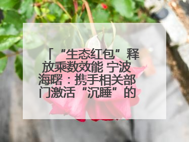 “生态红包”释放乘数效能 宁波海曙：携手相关部门激活“沉睡”的公益损害赔偿金