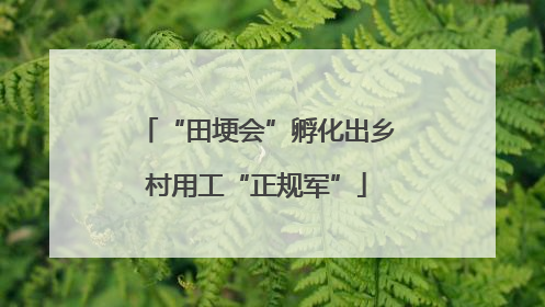 “田埂会”孵化出乡村用工“正规军”