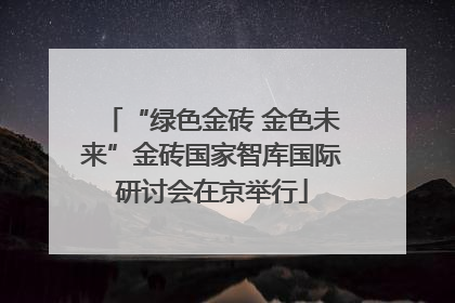 “绿色金砖 金色未来”金砖国家智库国际研讨会在京举行