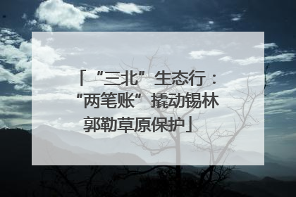 “三北”生态行：“两笔账”撬动锡林郭勒草原保护