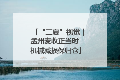 “三夏”视觉｜孟州麦收正当时 机械减损保归仓