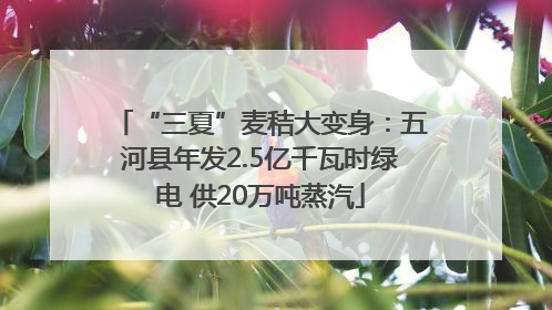 “三夏”麦秸大变身：五河县年发2.5亿千瓦时绿电 供20万吨蒸汽