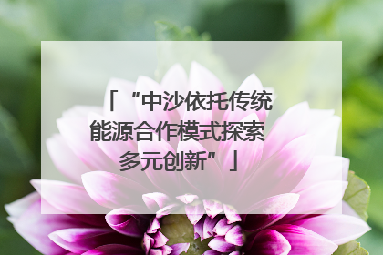 “中沙依托传统能源合作模式探索多元创新”