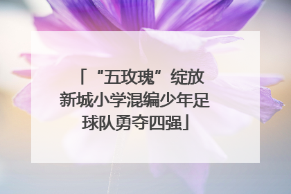 “五玫瑰”绽放 新城小学混编少年足球队勇夺四强