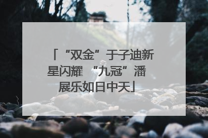 “双金”于子迪新星闪耀 “九冠”潘展乐如日中天