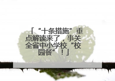“十条措施”重点解读来了，事关全省中小学校“校园餐”！