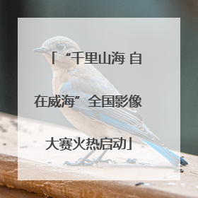 “千里山海 自在威海”全国影像大赛火热启动