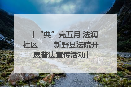 “典”亮五月 法润社区——新野县法院开展普法宣传活动