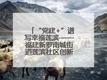 “党建+”谱写幸福莲滨——福建新罗南城街道莲滨社区创新治理模式探访