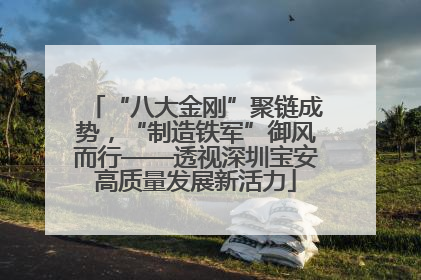 “八大金刚”聚链成势，“制造铁军”御风而行——透视深圳宝安高质量发展新活力