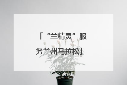 “兰精灵”服务兰州马拉松