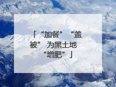 “加餐”“盖被” 为黑土地“增肥”