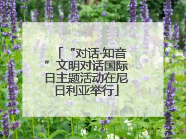 “对话·知音”文明对话国际日主题活动在尼日利亚举行