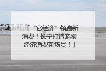 “它经济”领跑新消费！长宁打造宠物经济消费新场景！