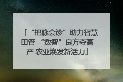 “把脉会诊”助力智慧田管 “数智”良方夺高产 农业焕发新活力