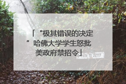 “极其错误的决定”哈佛大学学生怒批美政府禁招令