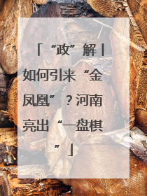 “政”解丨如何引来“金凤凰”？河南亮出“一盘棋”