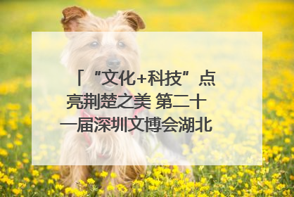 “文化+科技”点亮荆楚之美 第二十一届深圳文博会湖北馆抢“鲜”看