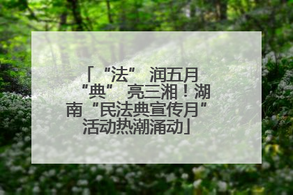 “法” 润五月 “典” 亮三湘！湖南“民法典宣传月”活动热潮涌动