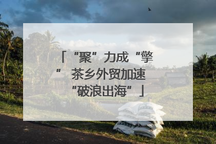 “聚”力成“擎” 茶乡外贸加速“破浪出海”