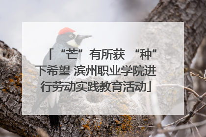 “芒”有所获 “种”下希望 滨州职业学院进行劳动实践教育活动