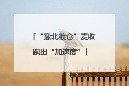 “豫北粮仓”麦收跑出“加速度”