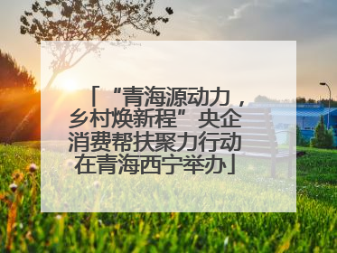 “青海源动力，乡村焕新程”央企消费帮扶聚力行动在青海西宁举办