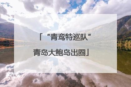 “青鸾特巡队”青岛大鲍岛出圈