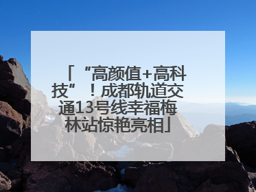 “高颜值+高科技”！成都轨道交通13号线幸福梅林站惊艳亮相