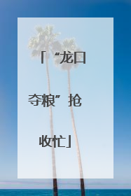 “龙口夺粮”抢收忙