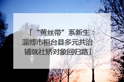 “黄丝带”系新生：淄博市桓台县多元共治铺就社矫对象回归路
