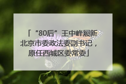 “80后”王中峰履新北京市委政法委副书记，原任西城区委常委