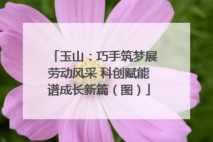 玉山：巧手筑梦展劳动风采 科创赋能谱成长新篇（图）