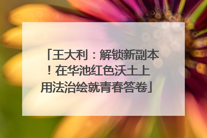 王大利：解锁新副本！在华池红色沃土上 用法治绘就青春答卷