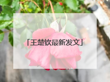 王楚钦最新发文