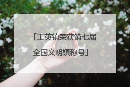 王英镇荣获第七届全国文明镇称号