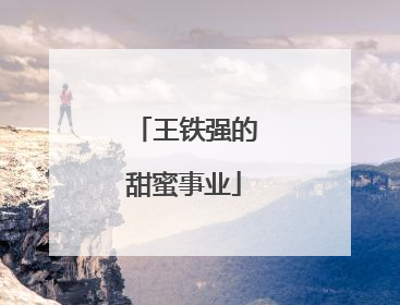 王铁强的甜蜜事业