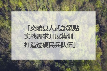 炎陵县人武部紧贴实战需求开展集训 打造过硬民兵队伍