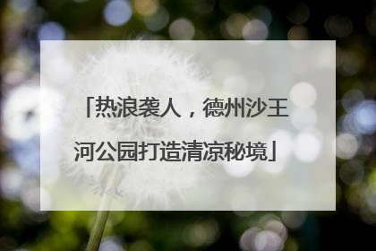 热浪袭人，德州沙王河公园打造清凉秘境