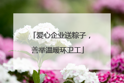 爱心企业送粽子，善举温暖环卫工