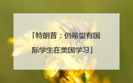 特朗普：仍希望有国际学生在美国学习